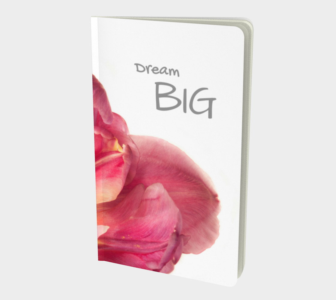 Dream Big preview #1
