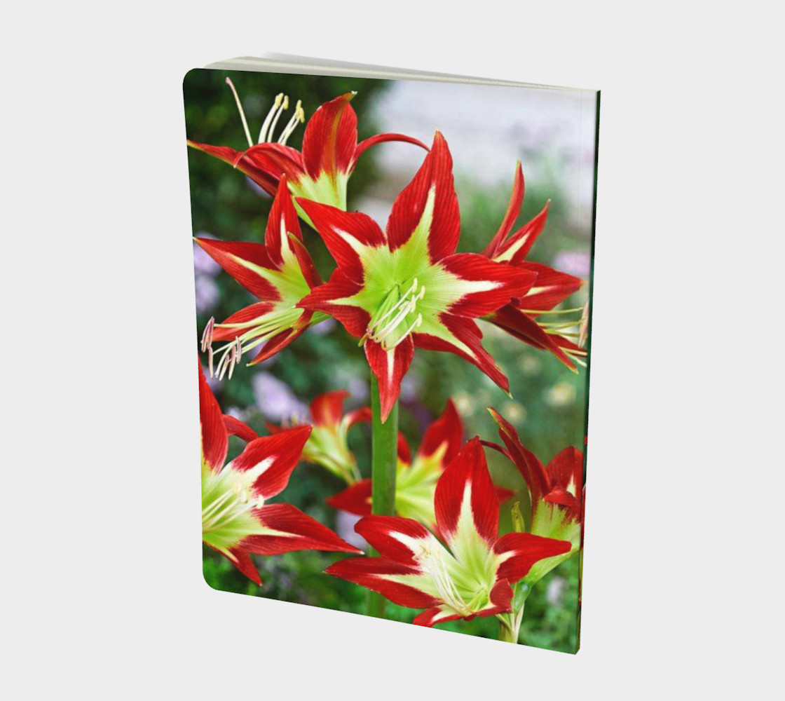 Aperçu de Awesome Amaryllis #2