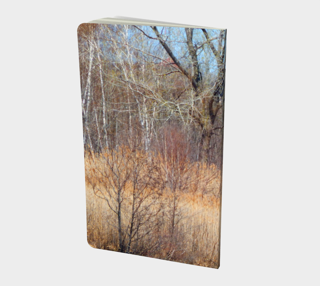 Mystic River Branches preview #2