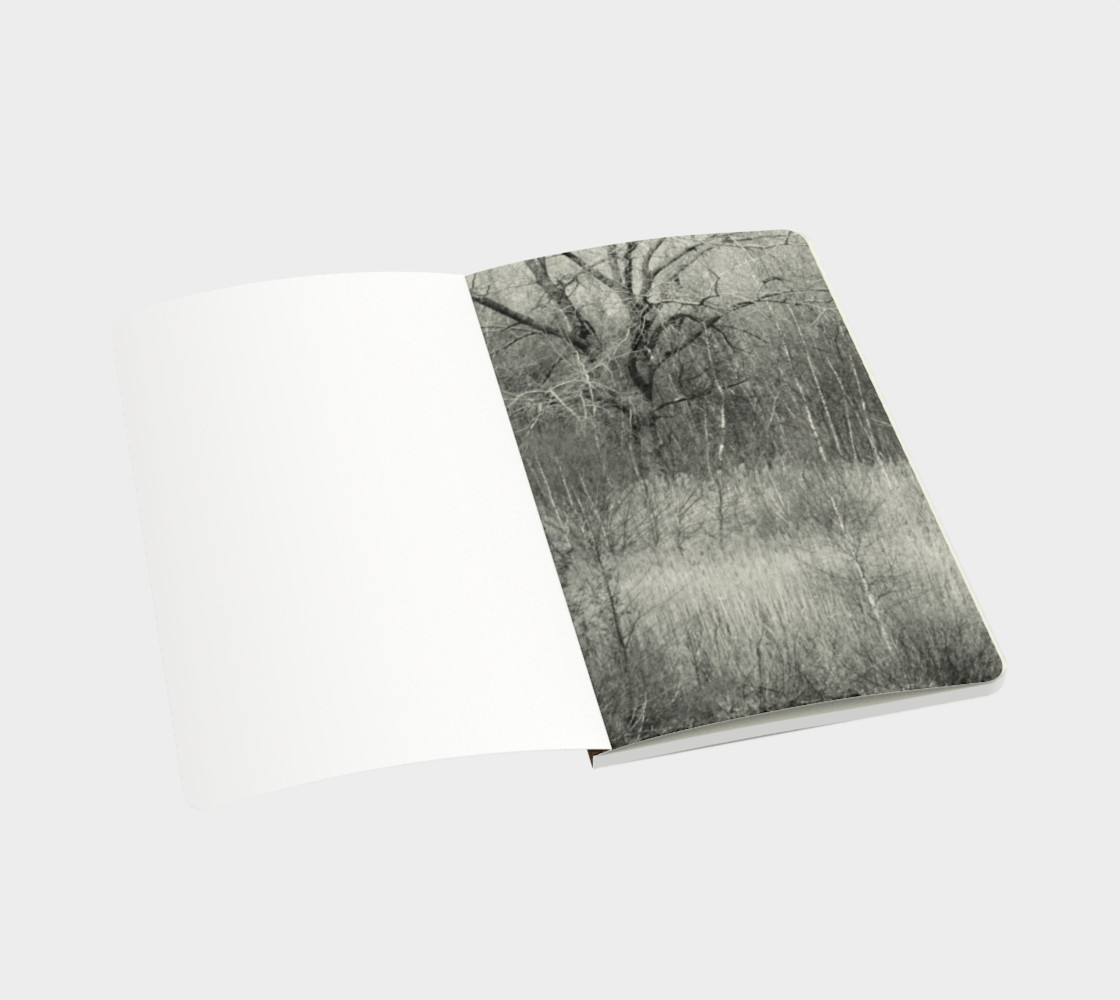 Mystic River Branches preview #3