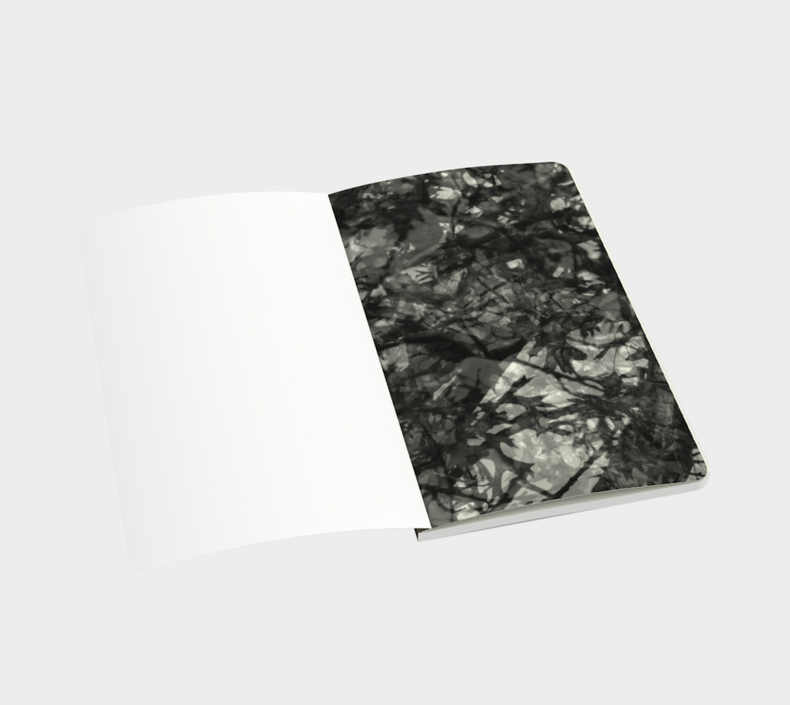 Autumn Exposure preview #3