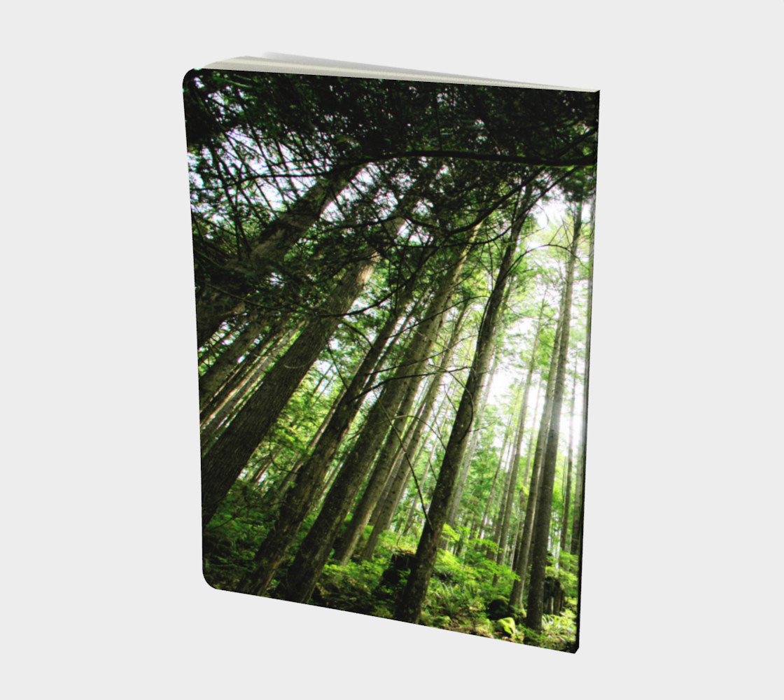 Aperçu de foret 2 lge notebook #2