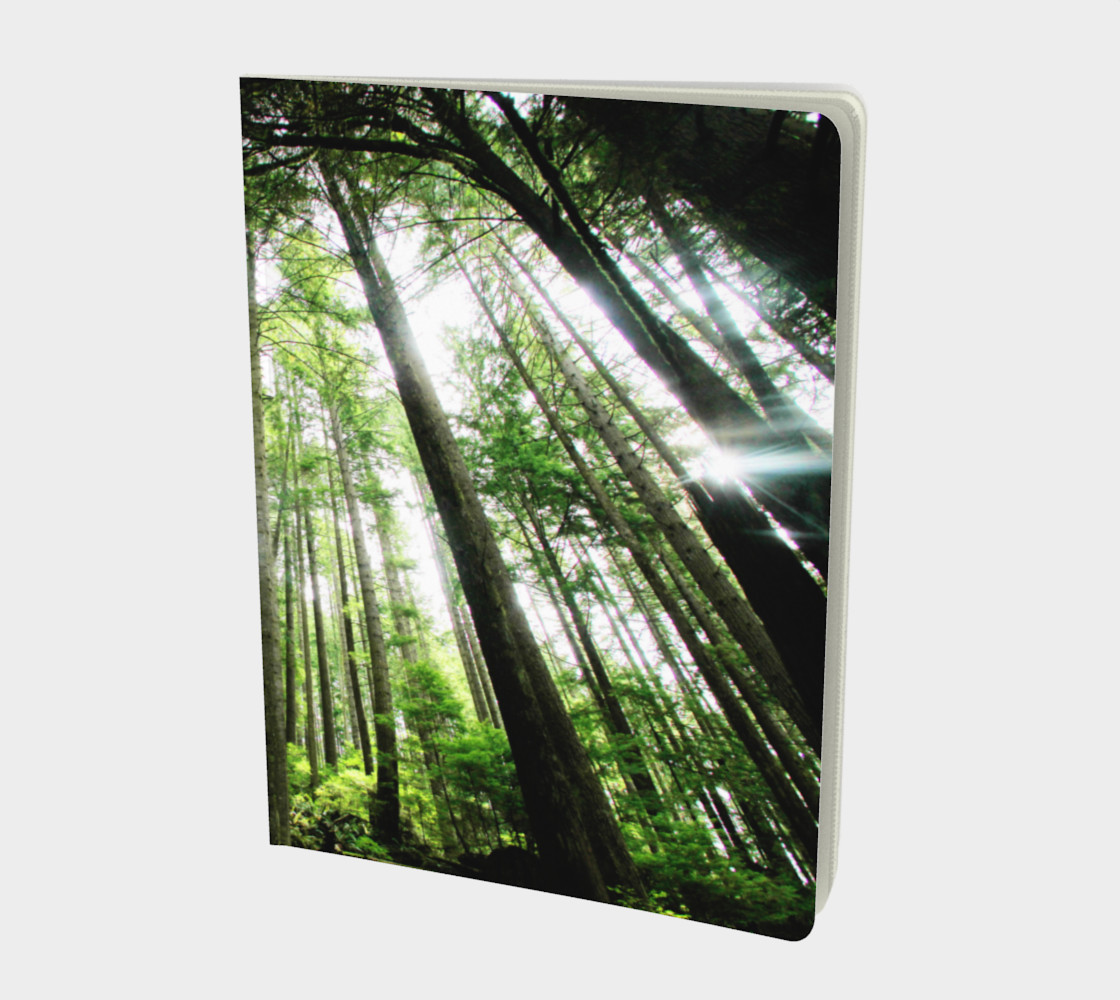 Aperçu de foret 2 lge notebook #1