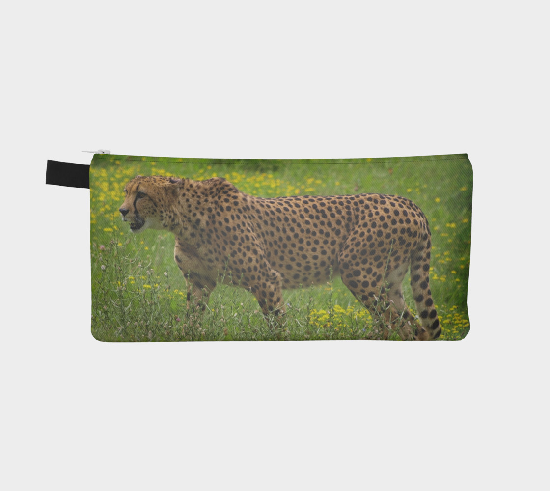 Cheetah preview #2