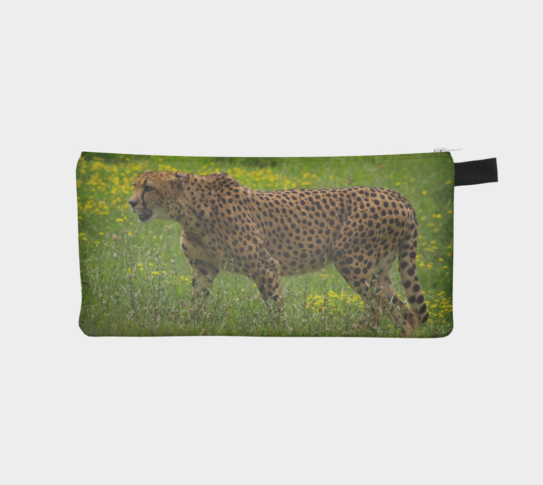 Cheetah preview #1