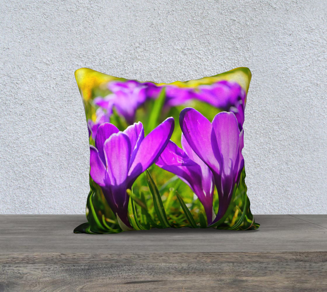 Welcome Sign 18 x 18 Pillow Case preview #1