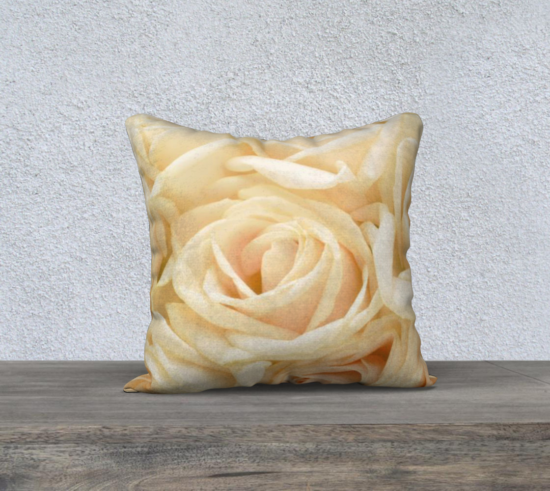 Cream Roses preview #1
