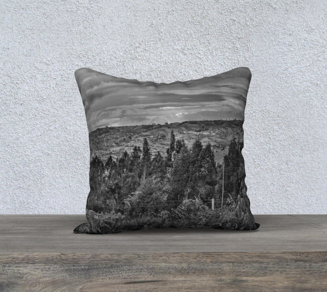 Aperçu de Black And White Landscape Print Pillow #1