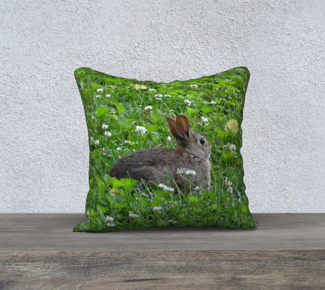 Cuddly Bunny preview #1