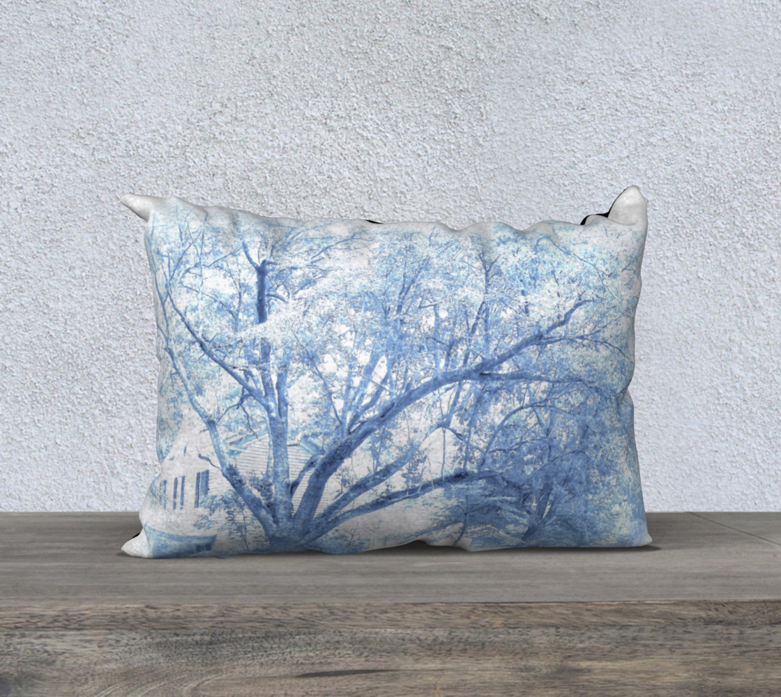 Carolina Blue Oak Tree preview #1