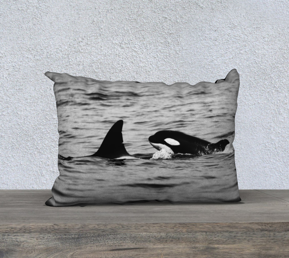 orcas preview #1
