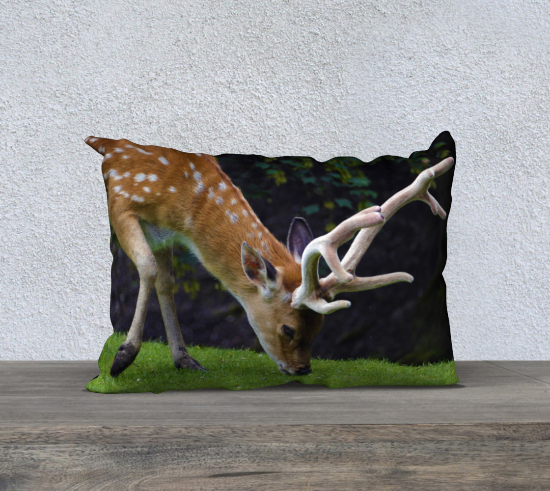 Fallow Deer preview #1