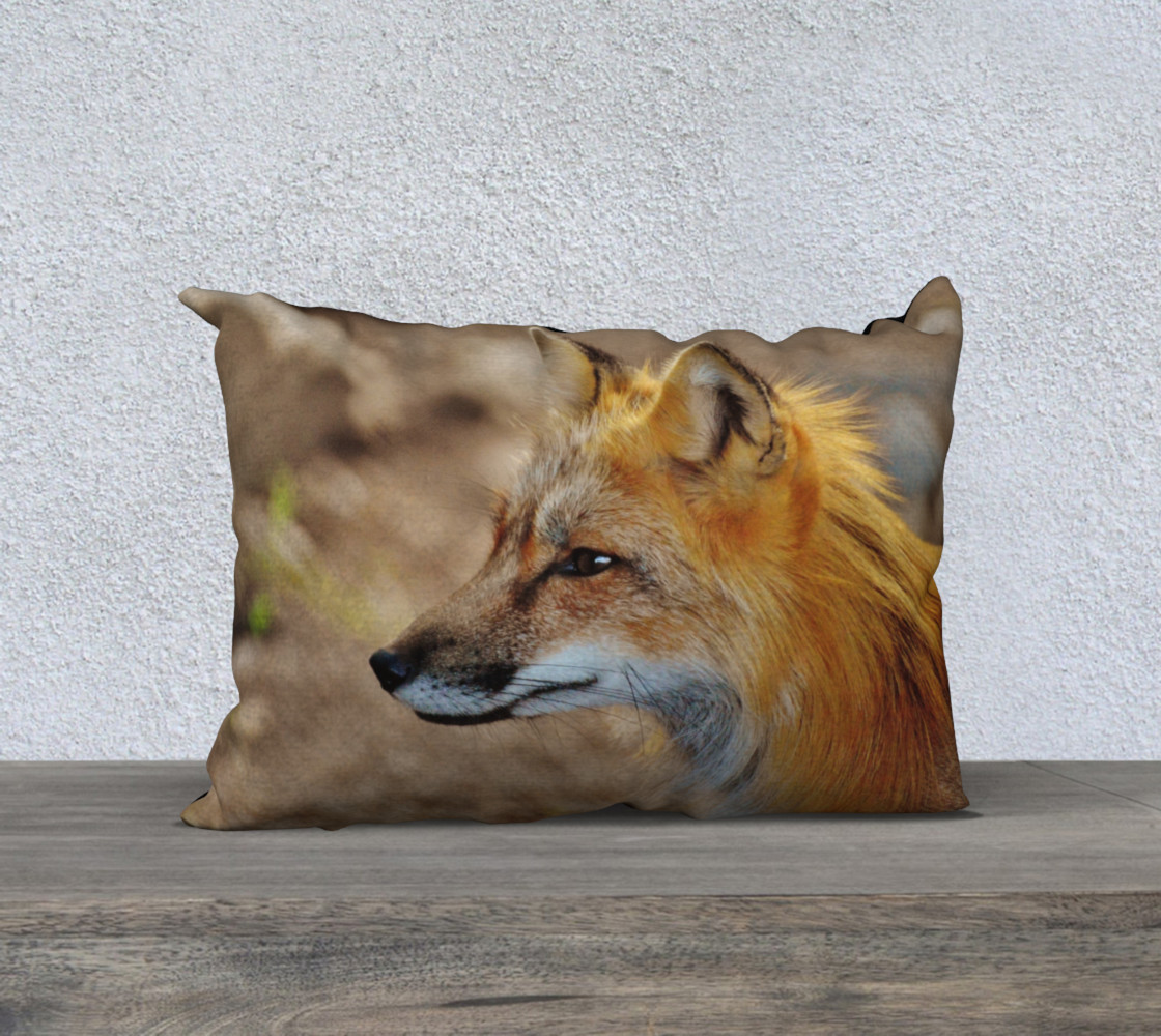 Inquisitive Mr. Fox preview #1