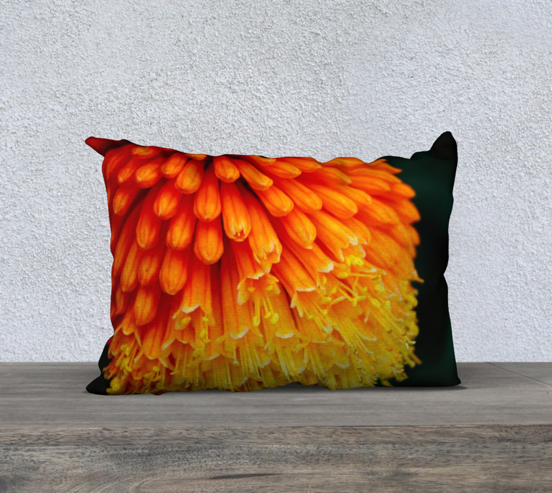 Kniphofia Rooperi preview #1