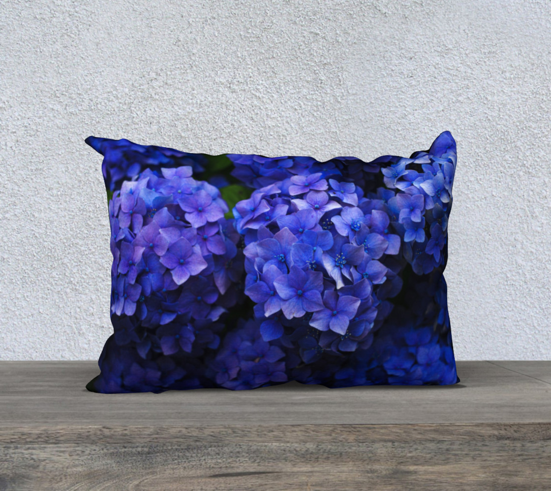 Hortensia preview #1