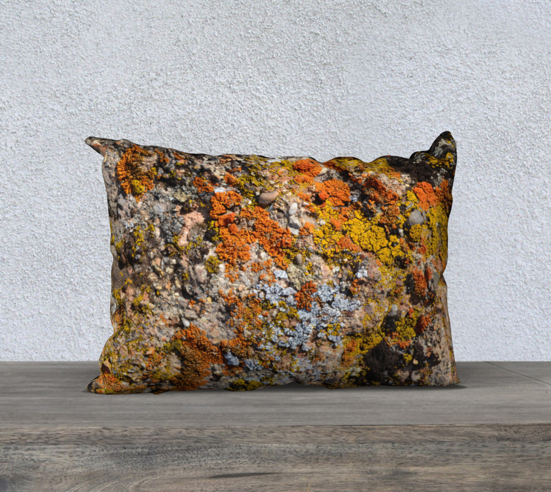 Calico Lichens preview #1