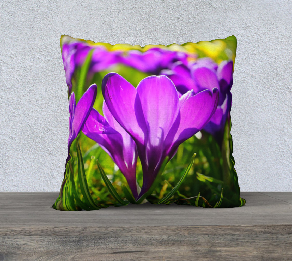Welcome Sign 22 x 22 Pillow Case preview #1