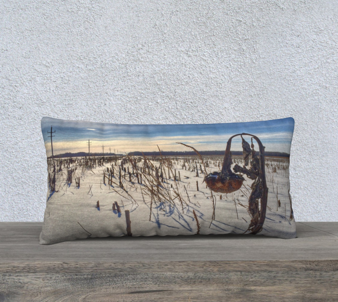 Deadhead Hwy 24x12 pillow case preview #1