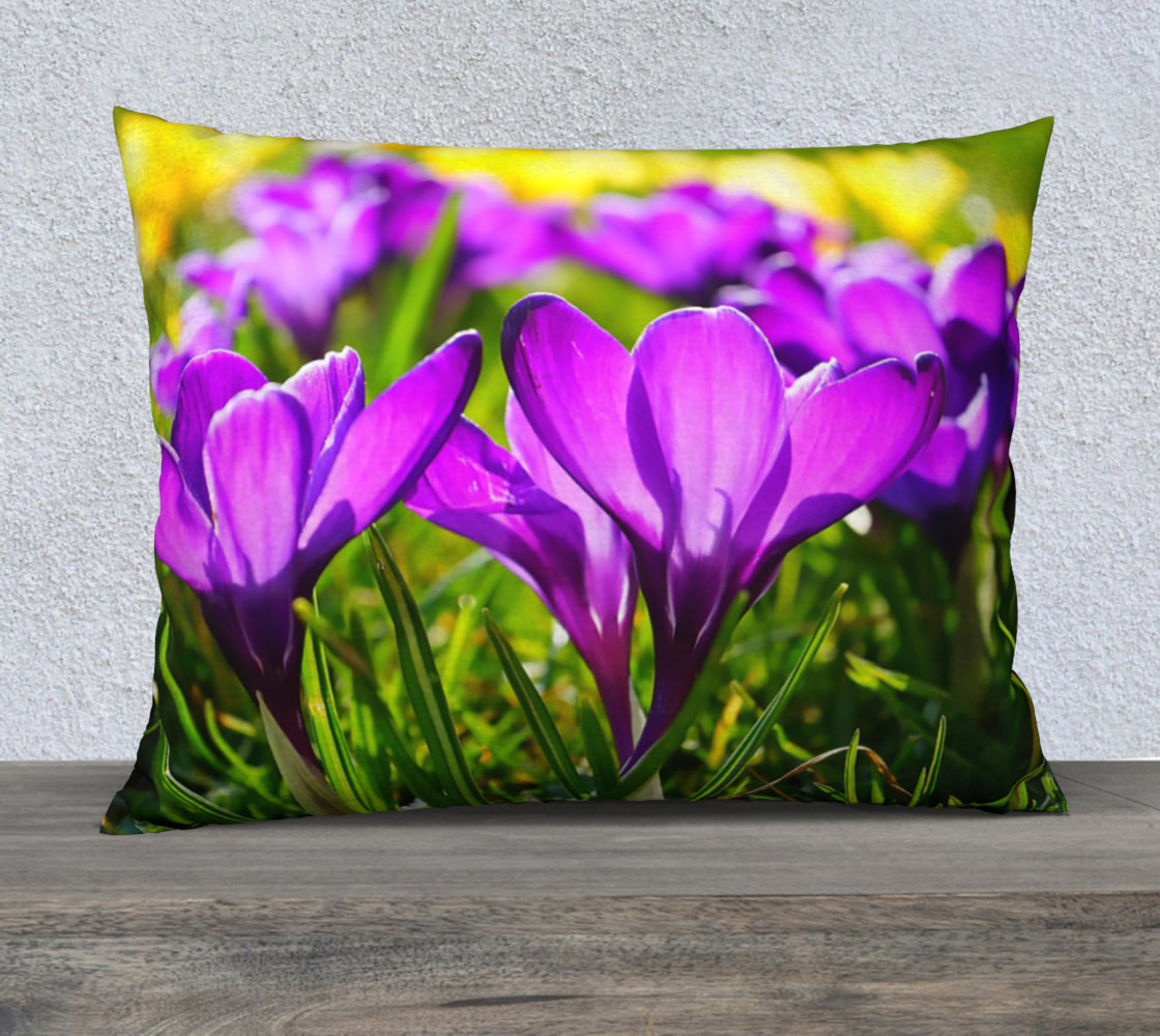 Welcome Sign 26 x 20 Pillow Case preview #1
