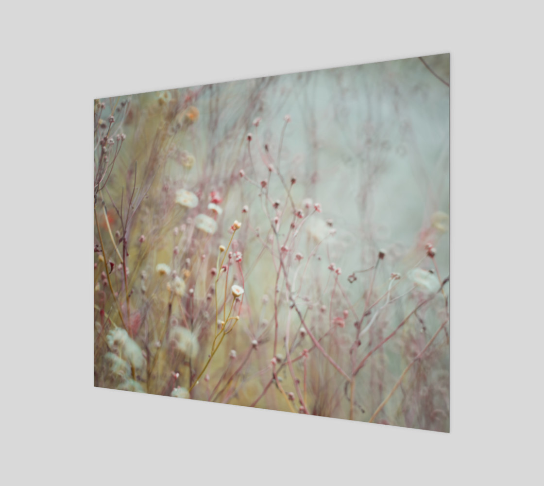 WILD PLANT PINK TURQUOISE ONE preview #1
