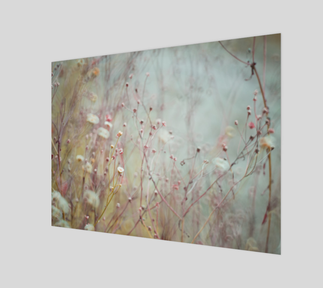 WILD PLANT PINK TURQUOISE ONE preview #1