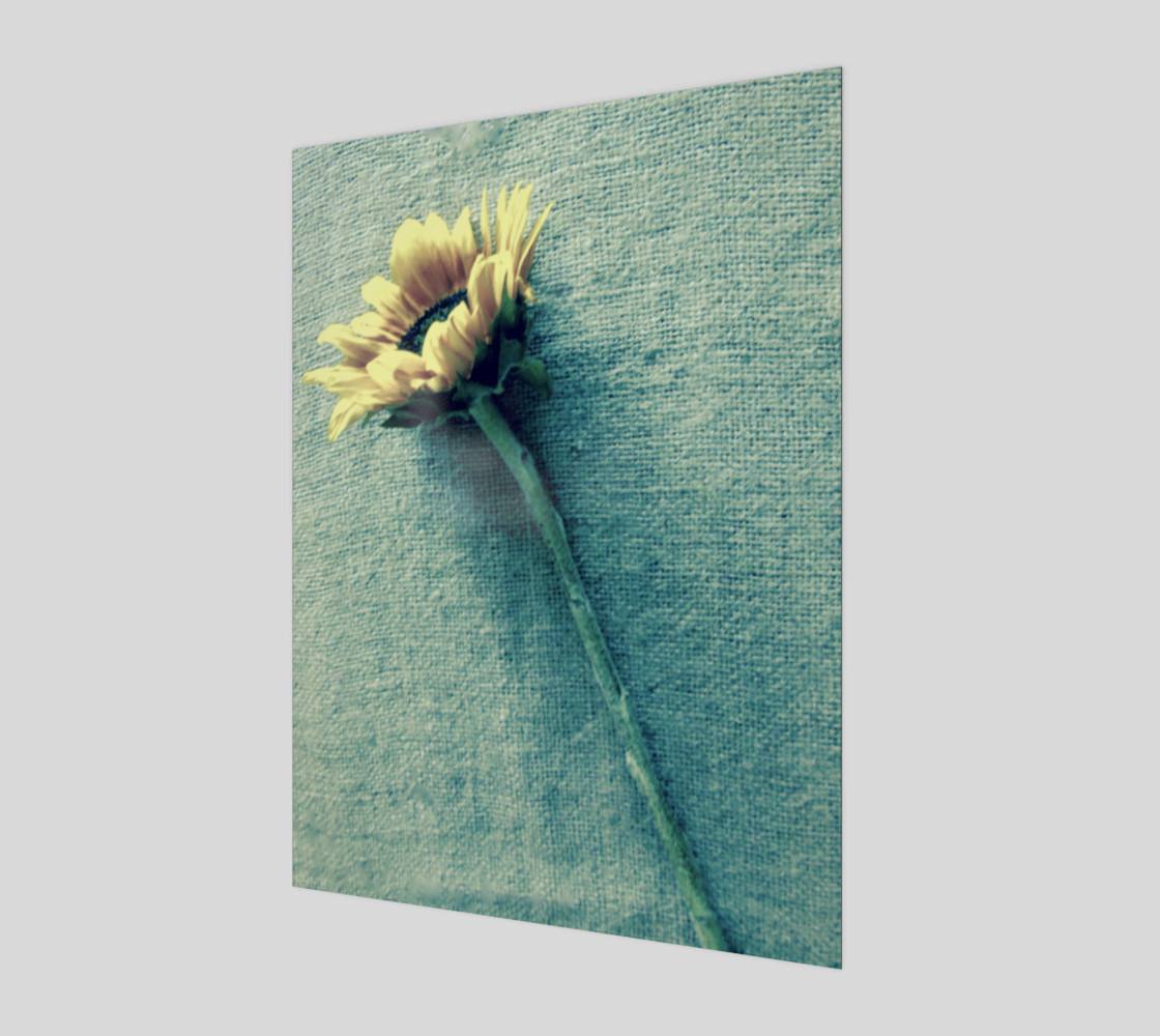 Sunflower & Denim preview #1