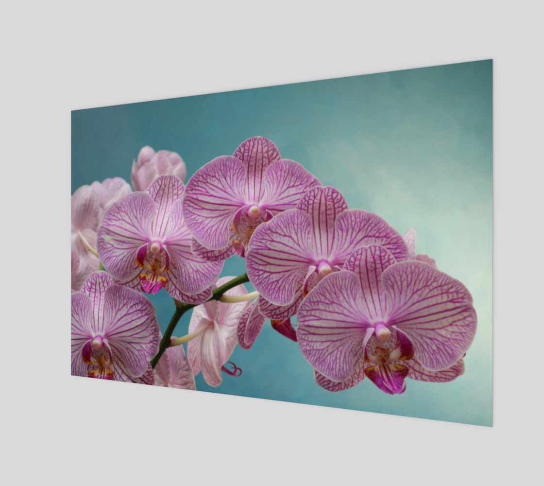purple orchid preview #1