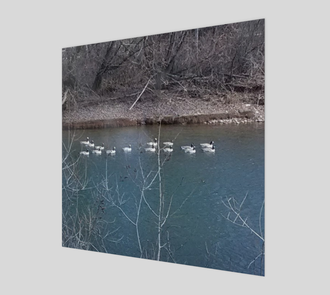 Canadian Geese On The Boise River Wall Art canvas preview #1