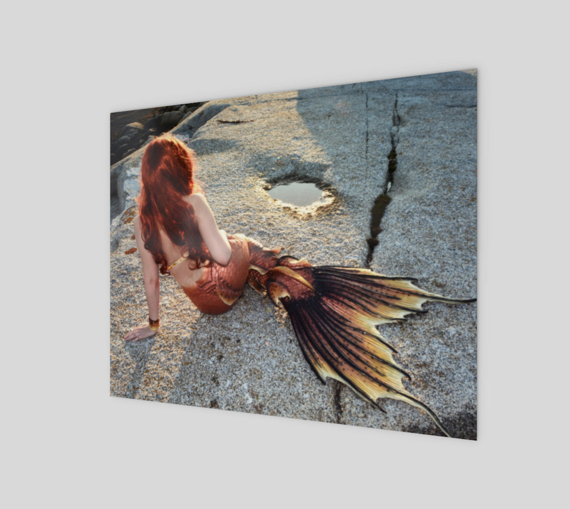 Mermaid Back Print preview #1