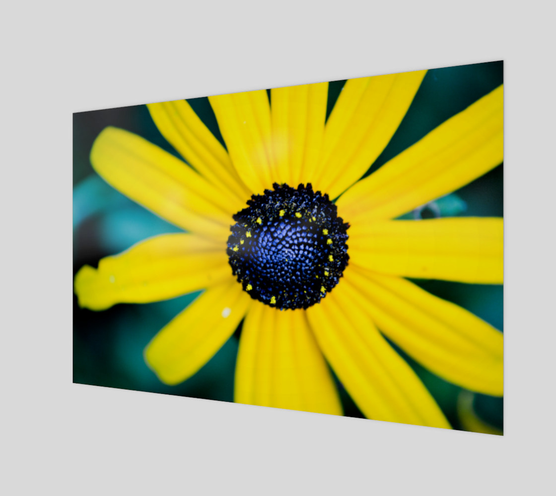 Summer is Coming Wall Art preview #1