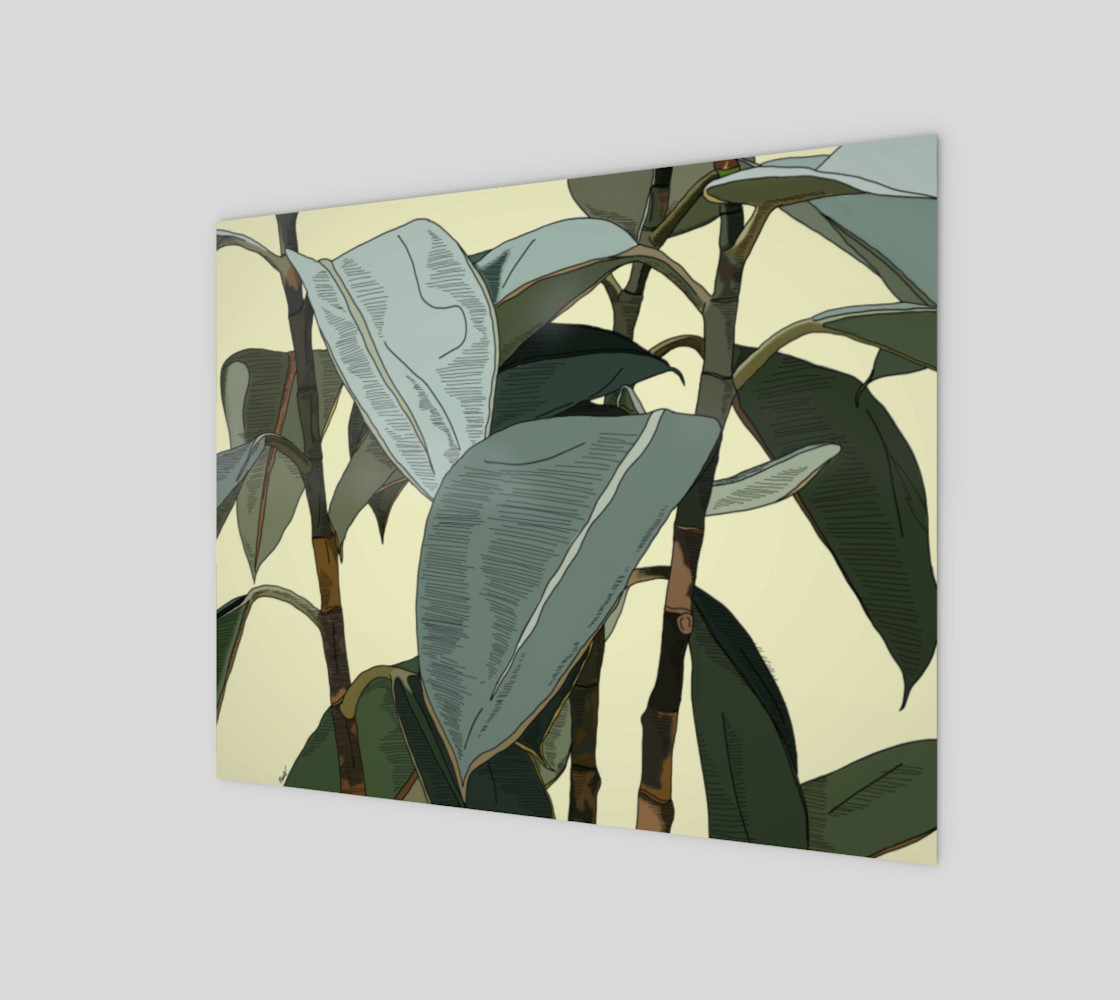 basic plant preview #1