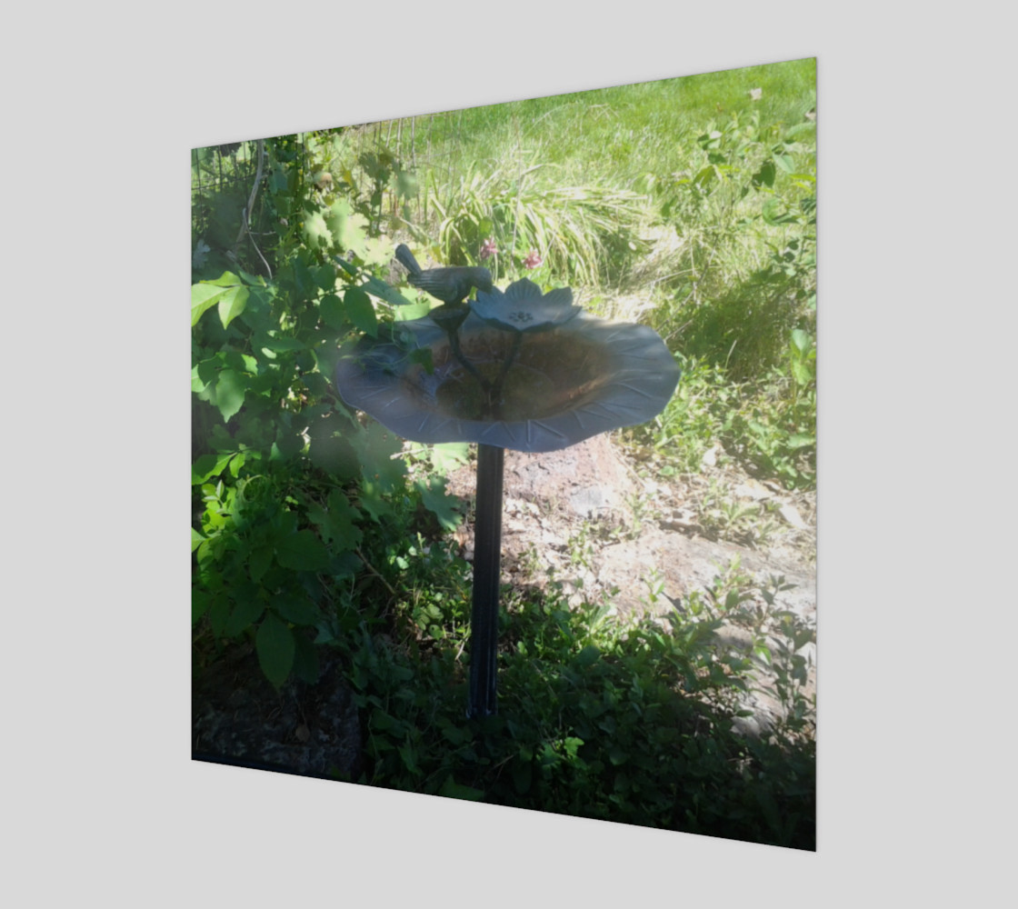 Abandoned Bird Bath Wall Art preview #1