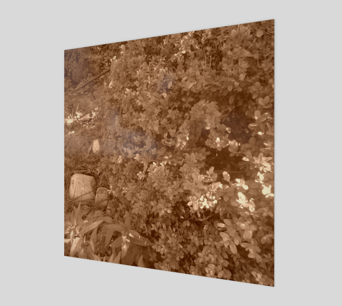 Bush in Sepia Wall Art preview #1