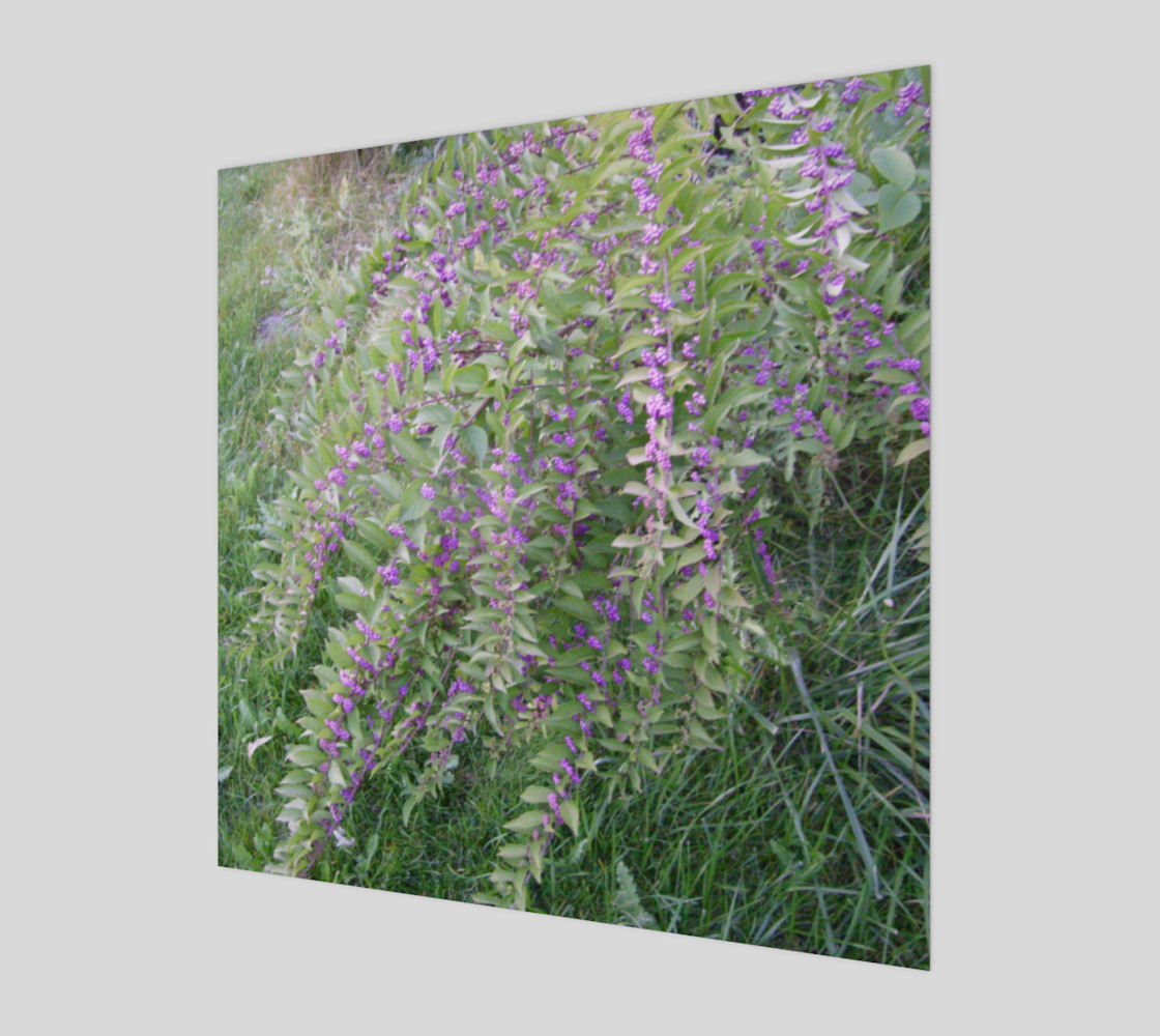 Bush with Violet Berries Wall Art preview #1