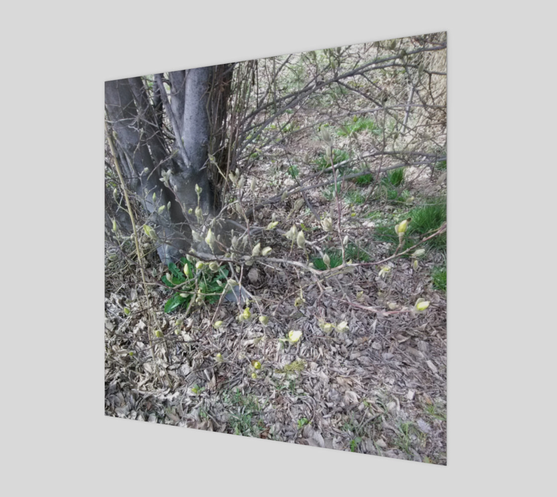 Darling Buds of March Wall Art preview #1