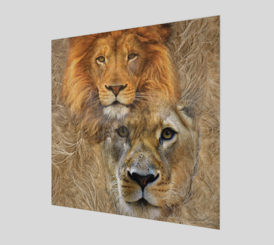 Lion King and Queen preview #1