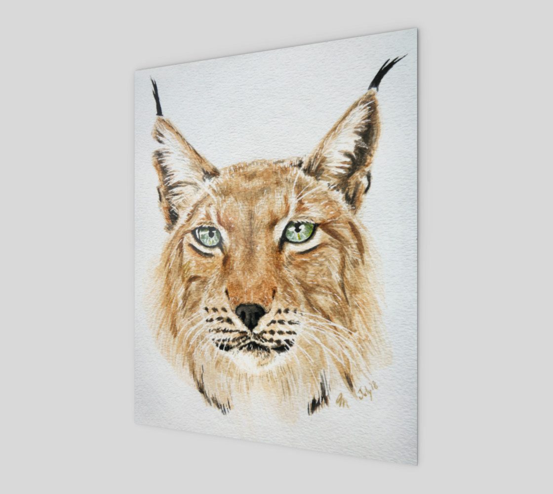 Apollo Siberian Lynx by Zrana preview #1