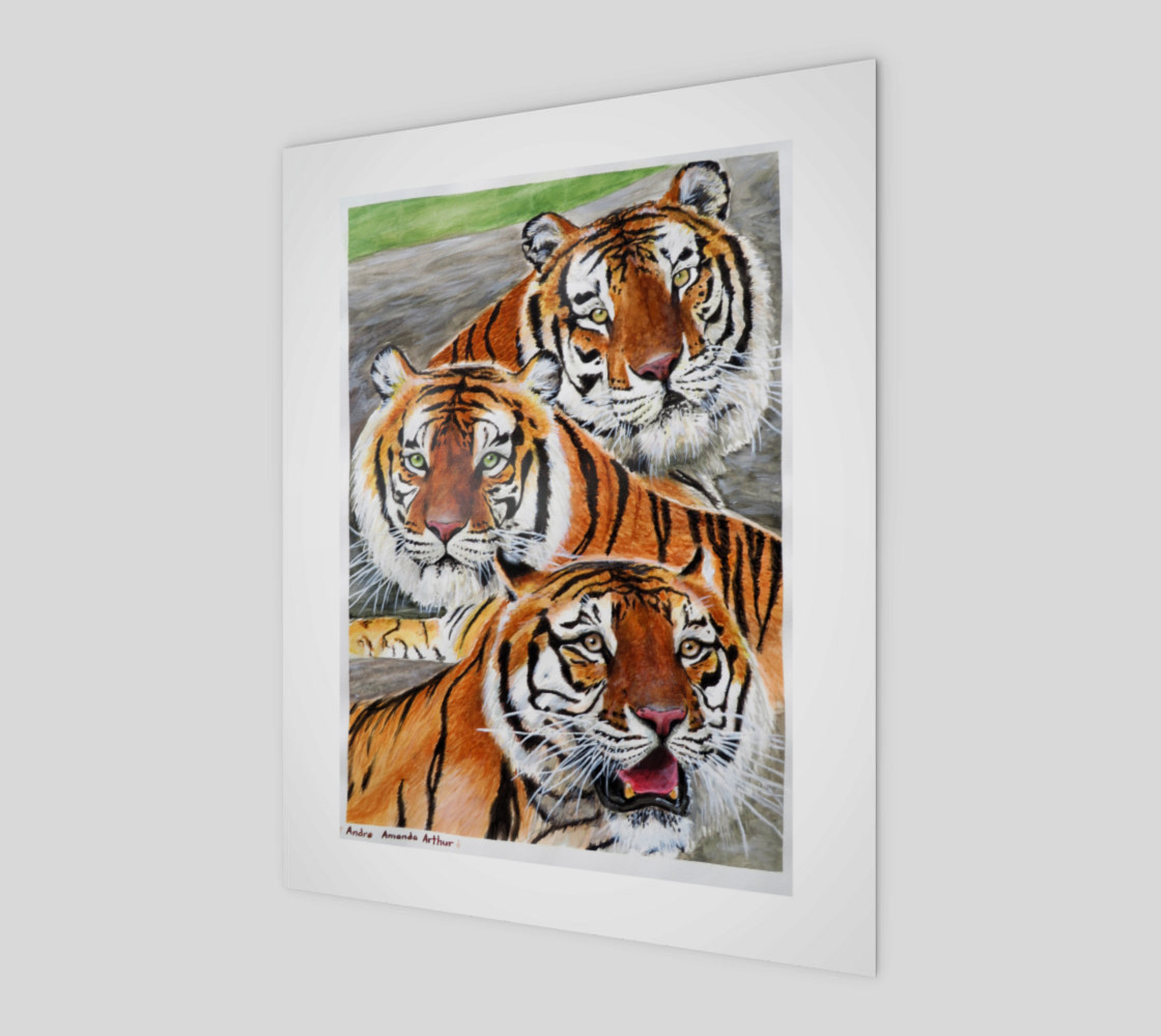Texas Tigers Trio preview #1