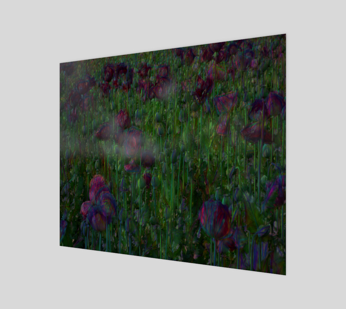 Poppy Meadow 3D preview