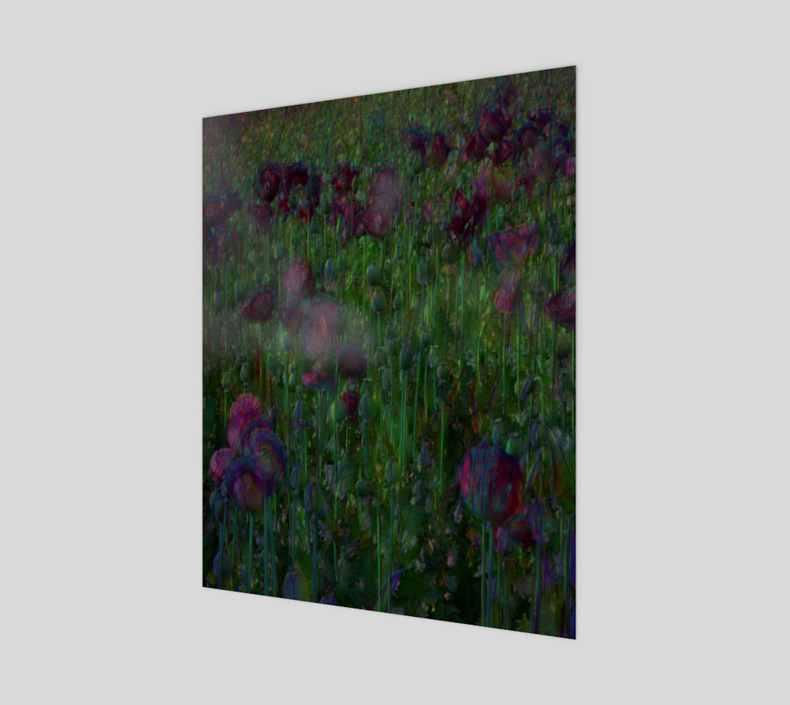 Poppy Meadow 3D preview