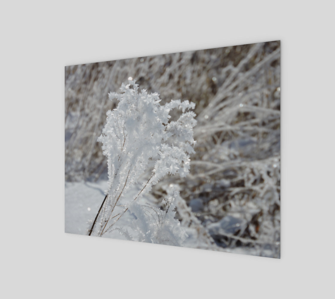 Frosted Feathered Plant preview #1