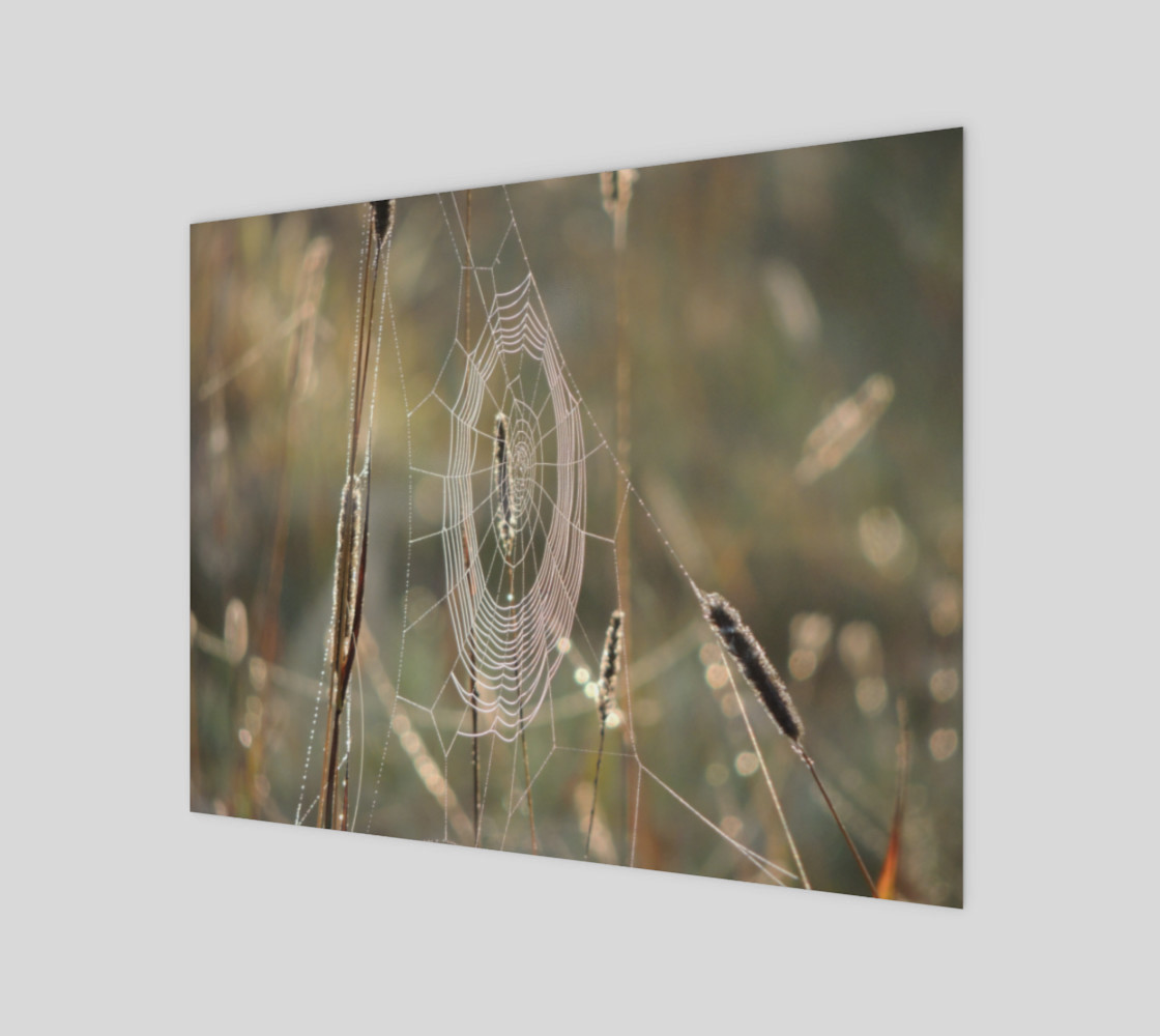 Hanging On By A Thread (14 x 11) preview #1