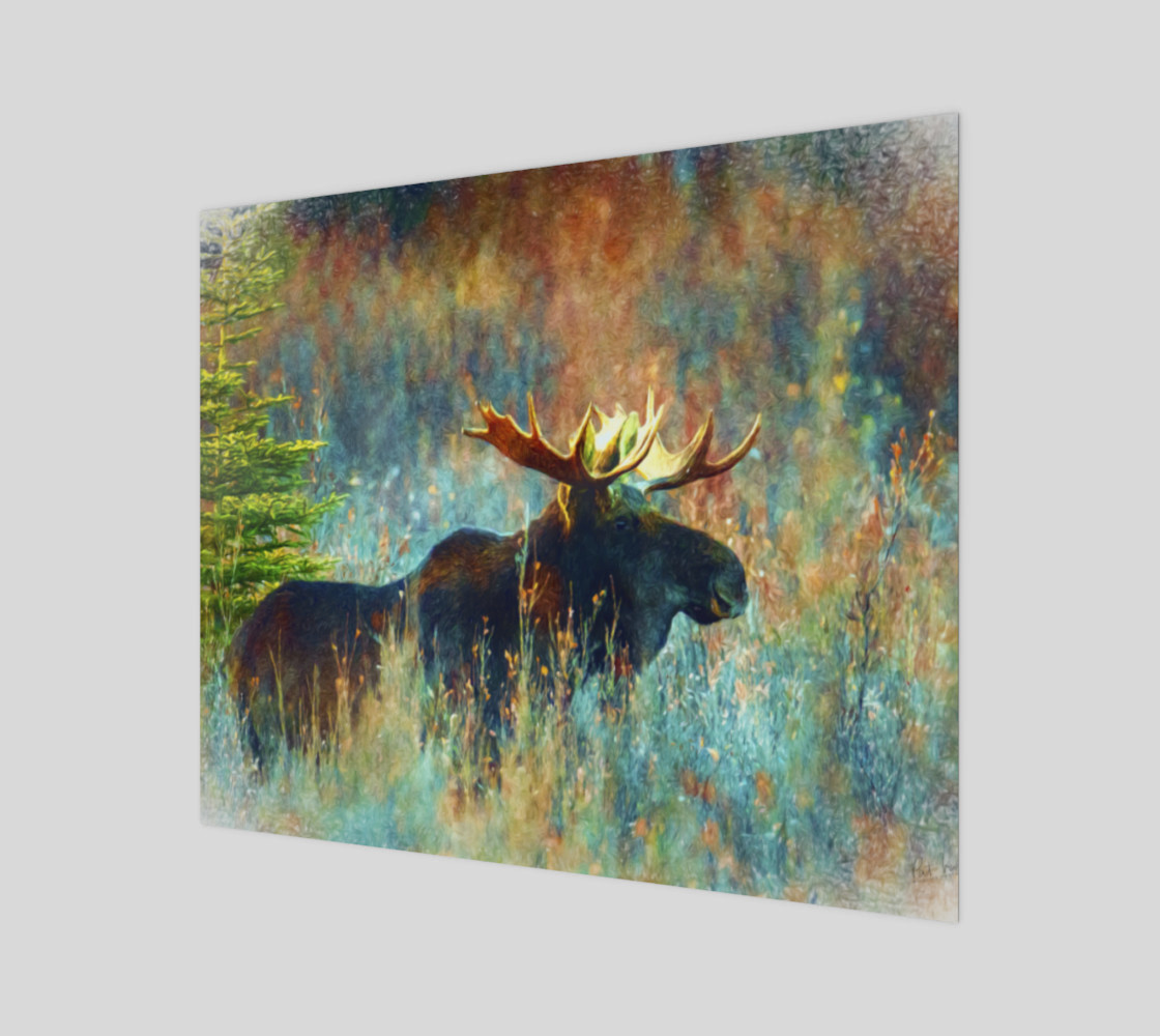 moose canvas preview #1