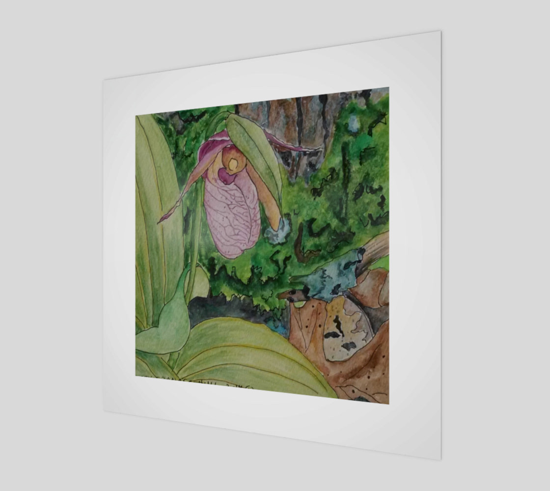 Lady Slipper preview #1