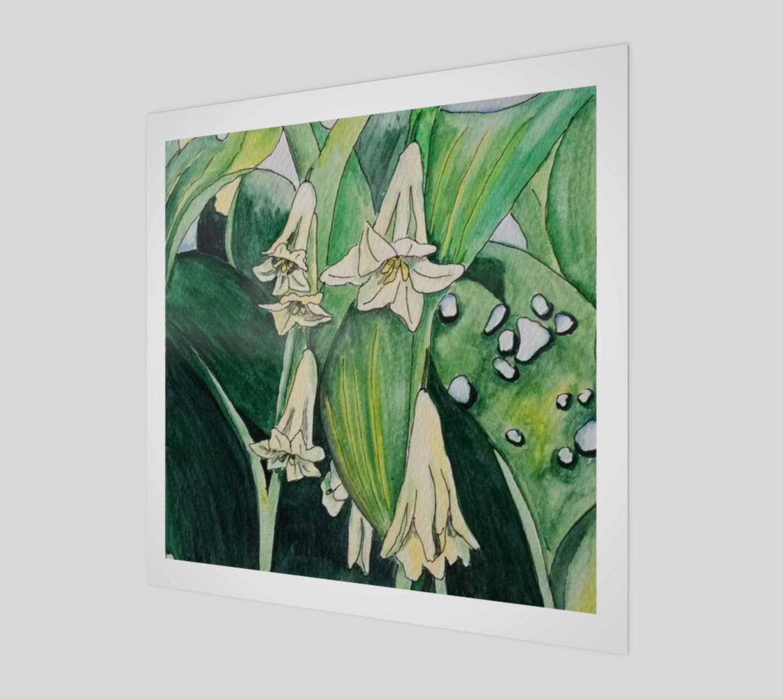 Solomon's Seal preview #1