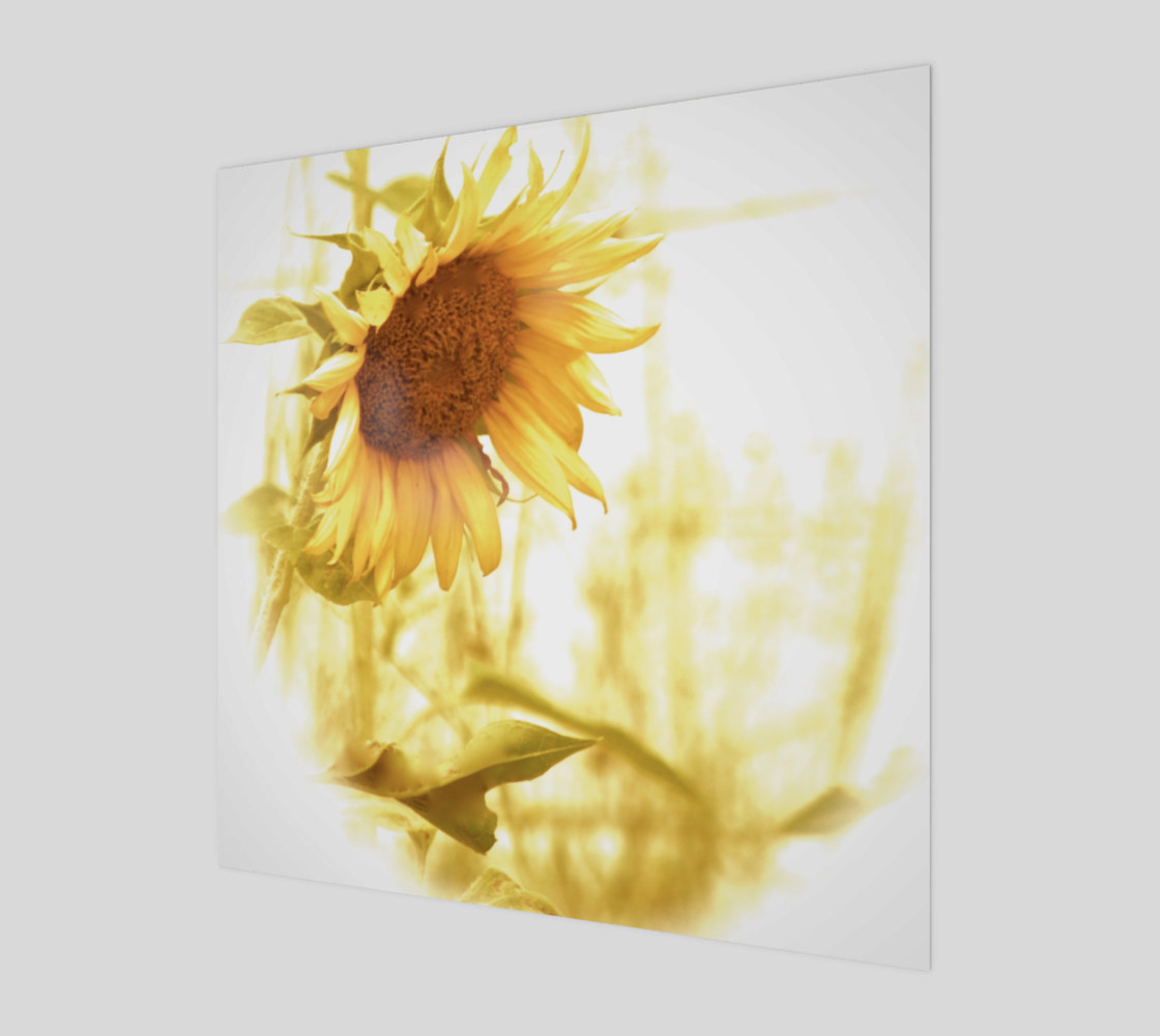 Sunflower in the Light preview #1