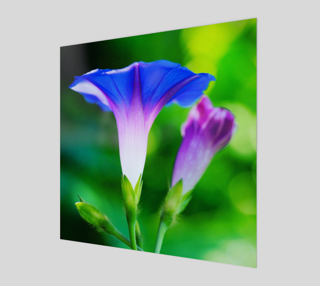 Trumpet Flower preview #1