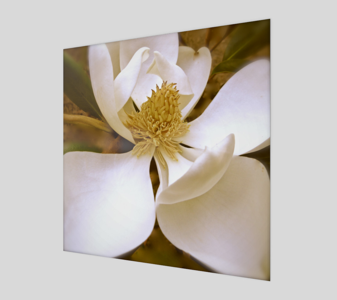 Angelic Magnolia preview #1