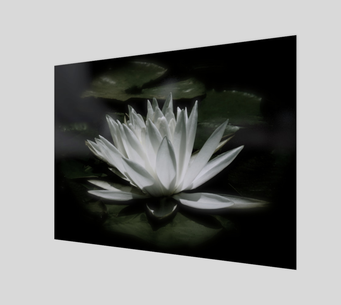 Water Lily By Moonlight 3D preview
