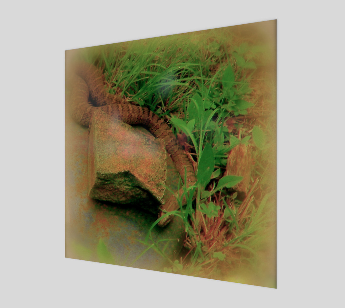 Hiding preview #1